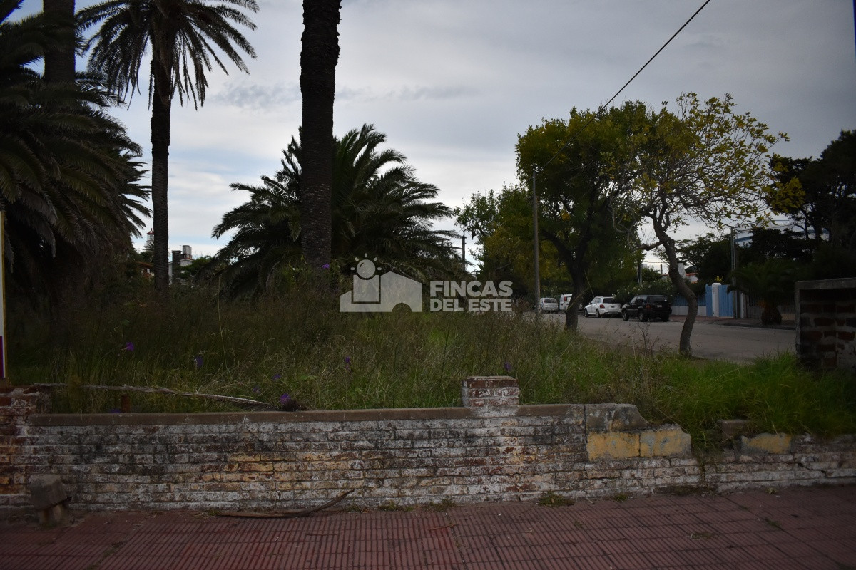 Peninsula - GoPunta - Portal Inmobiliario de Punta del Este - Maldonado
