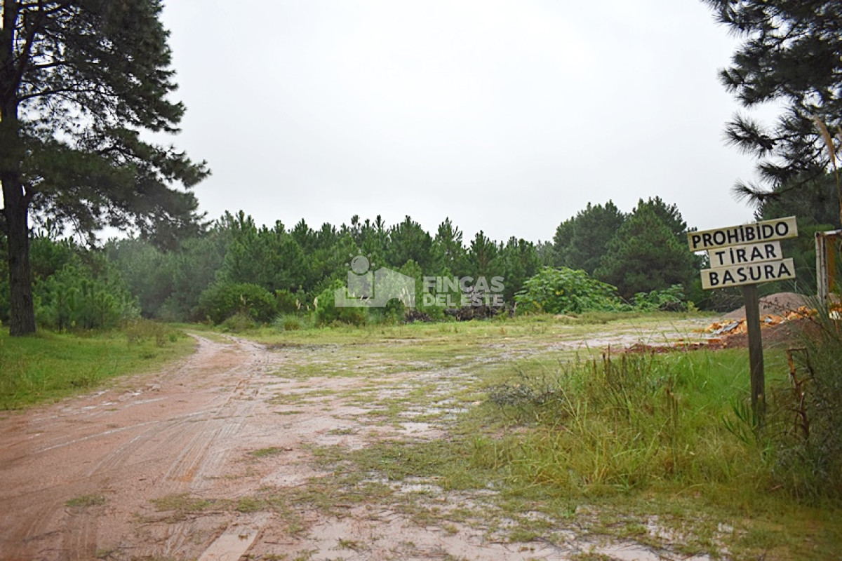 Punta del Diablo - GoPunta - Portal Inmobiliario de Punta del Este - Maldonado