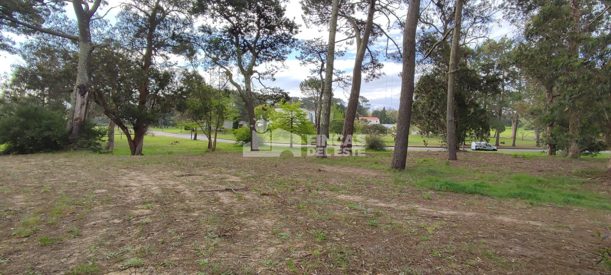 Beverly Hills - GoPunta - Portal Inmobiliario de Punta del Este - Maldonado