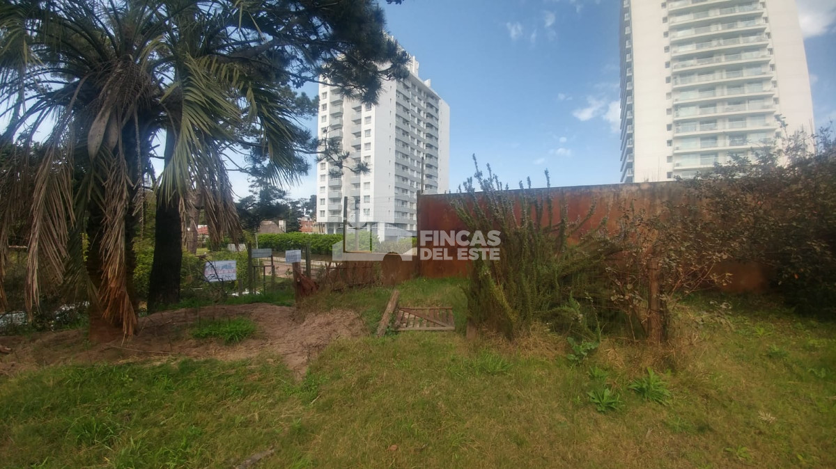 Lugano - GoPunta - Portal Inmobiliario de Punta del Este - Maldonado