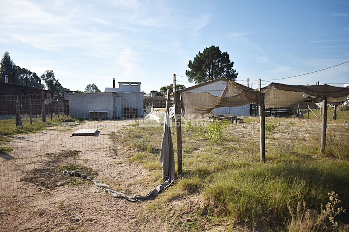 Altos de la Laguna - GoPunta - Portal Inmobiliario de Punta del Este - Maldonado