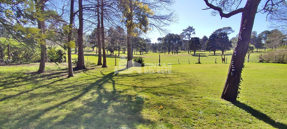 Golf - GoPunta - Portal Inmobiliario de Punta del Este - Maldonado