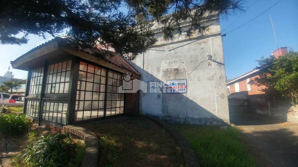 Mansa - GoPunta - Portal Inmobiliario de Punta del Este - Maldonado