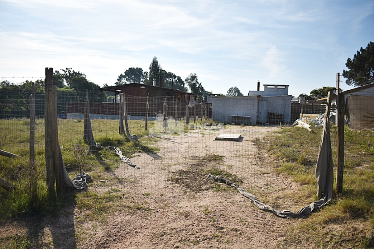 Altos de la Laguna - GoPunta - Portal Inmobiliario de Punta del Este - Maldonado