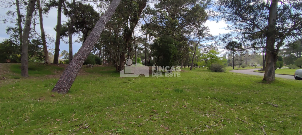 Beverly Hills - GoPunta - Portal Inmobiliario de Punta del Este - Maldonado