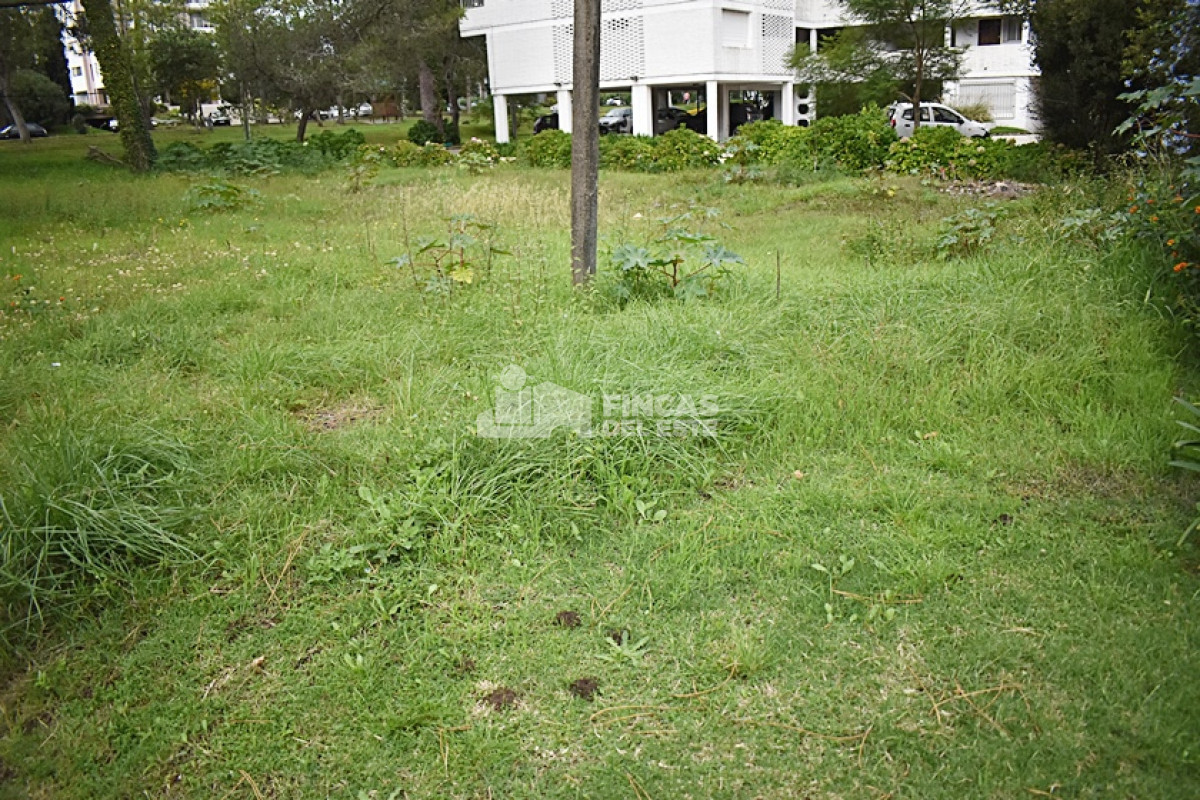 Cantegril - GoPunta - Portal Inmobiliario de Punta del Este - Maldonado