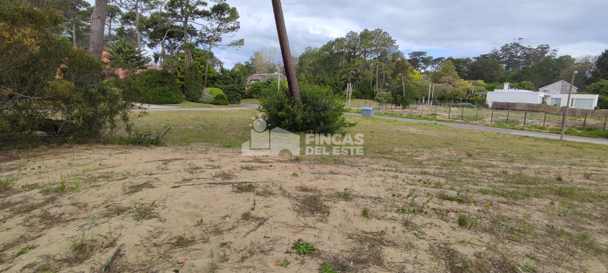 Beverly Hills - GoPunta - Portal Inmobiliario de Punta del Este - Maldonado