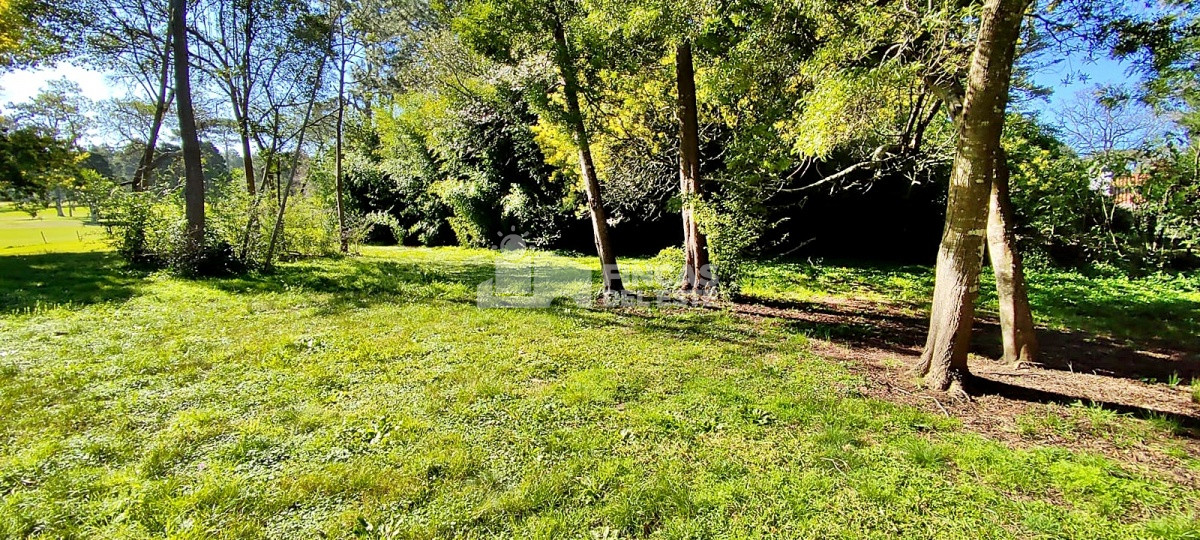 Golf - GoPunta - Portal Inmobiliario de Punta del Este - Maldonado