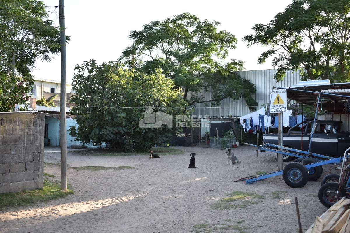 Maldonado - GoPunta - Portal Inmobiliario de Punta del Este - Maldonado
