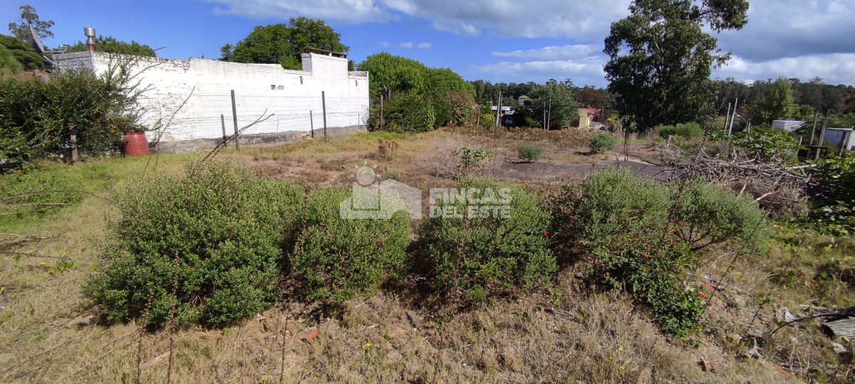 Sausalito - GoPunta - Portal Inmobiliario de Punta del Este - Maldonado