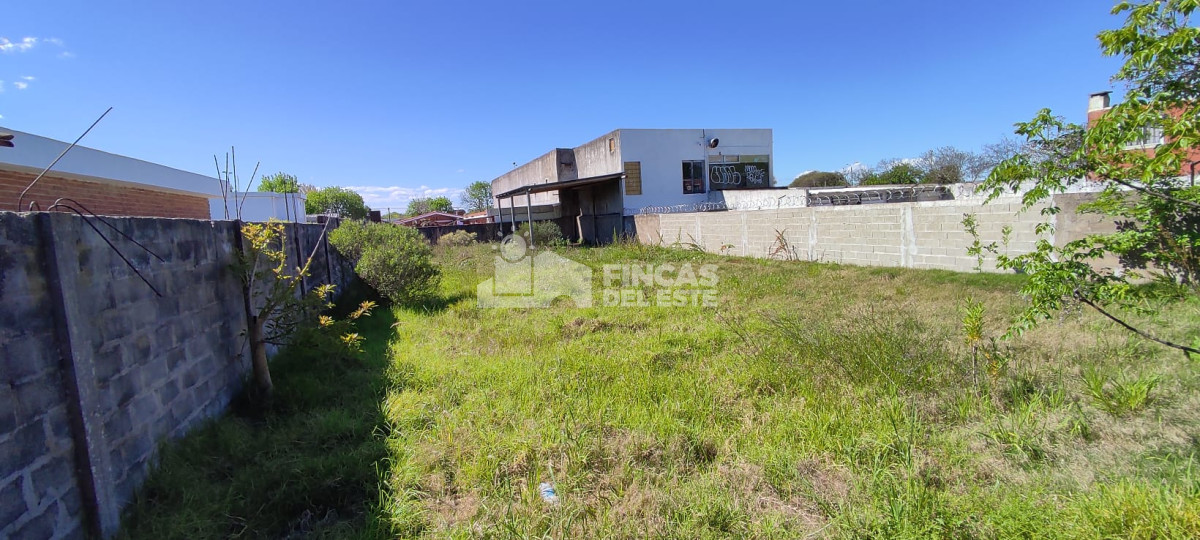 Centro Maldonado - GoPunta - Portal Inmobiliario de Punta del Este - Maldonado