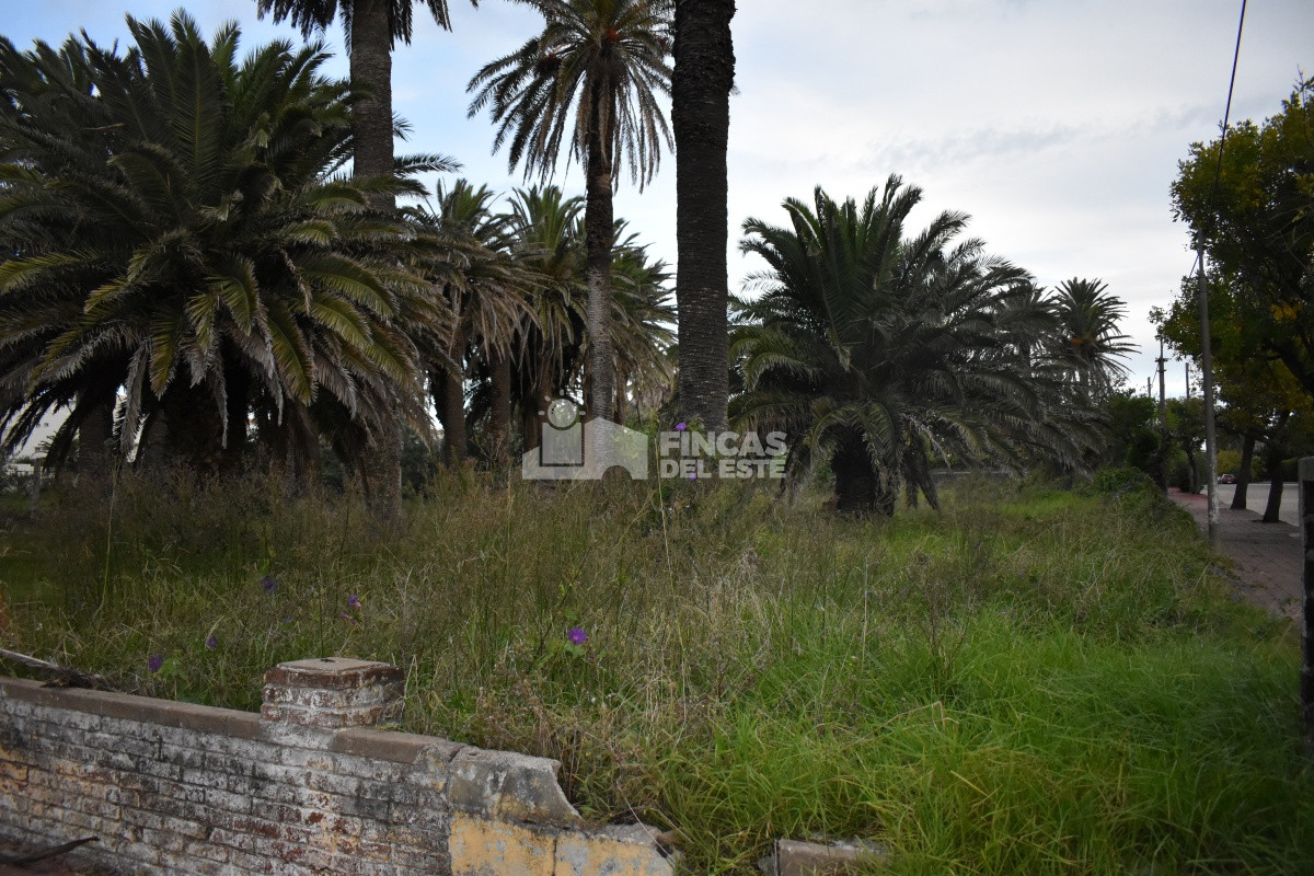Peninsula - GoPunta - Portal Inmobiliario de Punta del Este - Maldonado