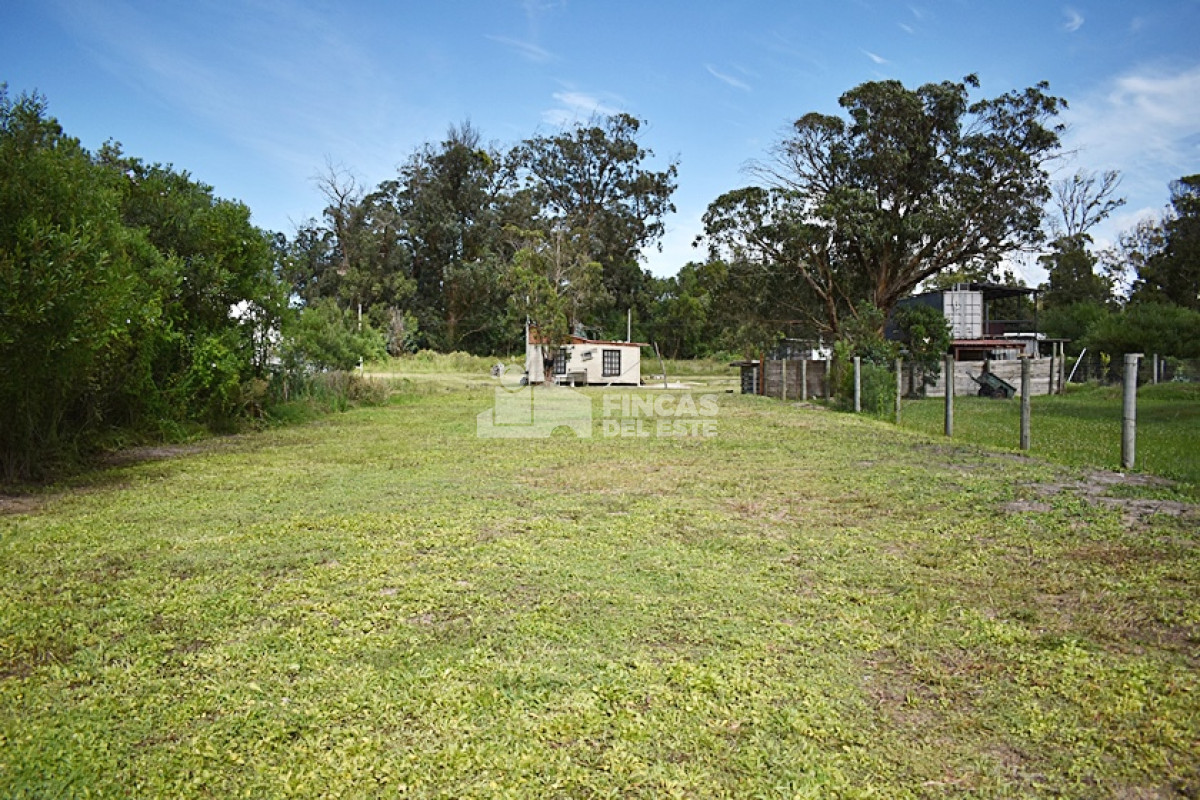 Santa Monica - GoPunta - Portal Inmobiliario de Punta del Este - Maldonado