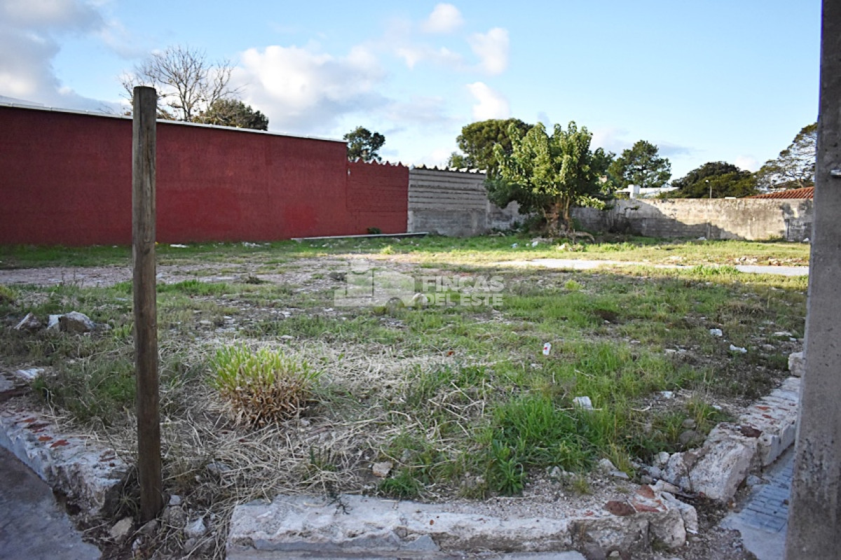Centro Maldonado - GoPunta - Portal Inmobiliario de Punta del Este - Maldonado