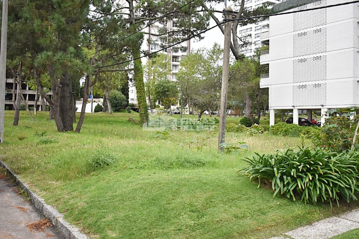 Cantegril - GoPunta - Portal Inmobiliario de Punta del Este - Maldonado