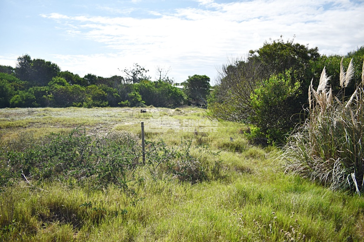 La Juanita - GoPunta - Portal Inmobiliario de Punta del Este - Maldonado