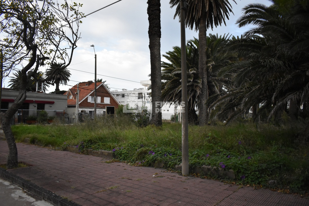 Peninsula - GoPunta - Portal Inmobiliario de Punta del Este - Maldonado