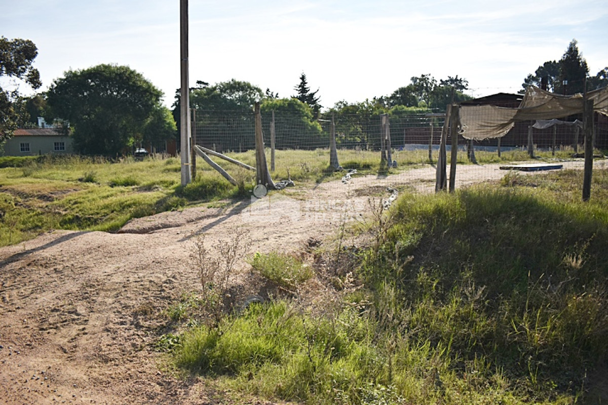 Altos de la Laguna - GoPunta - Portal Inmobiliario de Punta del Este - Maldonado