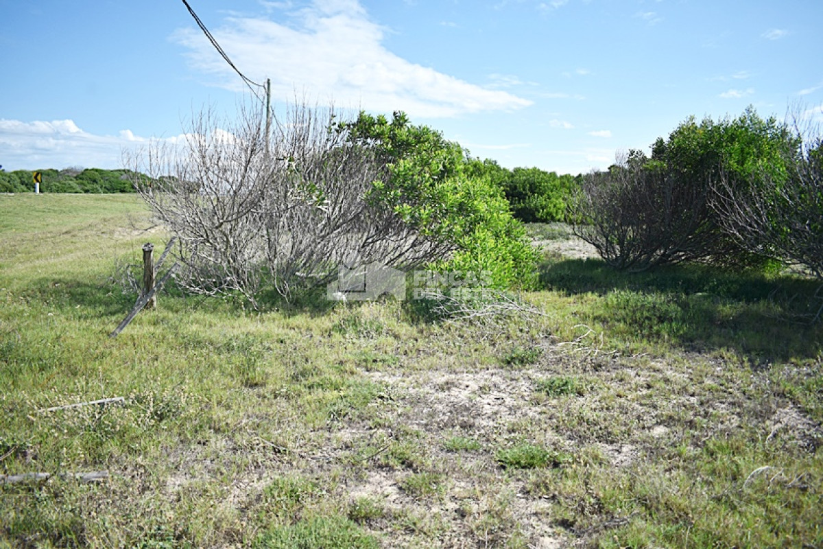 La Juanita - GoPunta - Portal Inmobiliario de Punta del Este - Maldonado