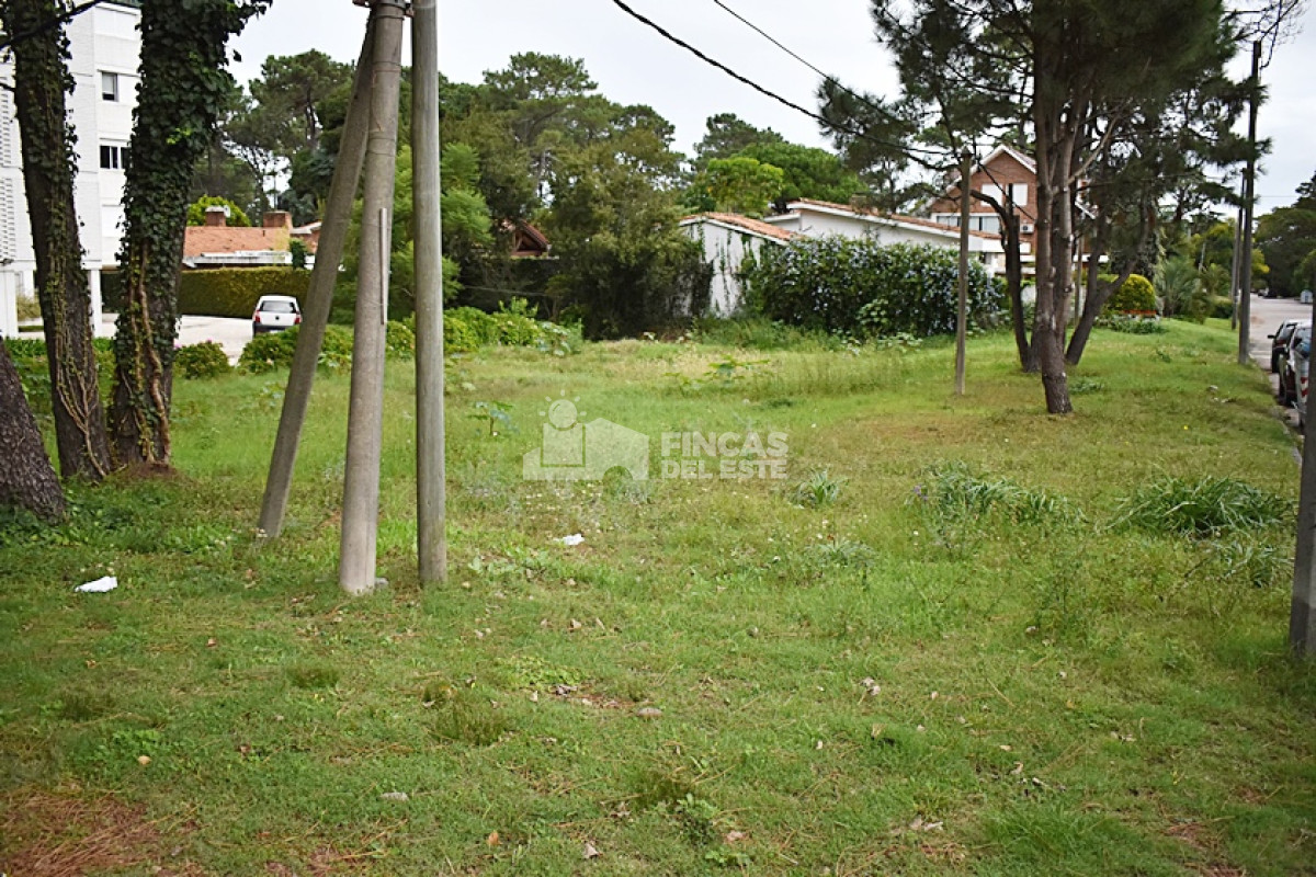 Cantegril - GoPunta - Portal Inmobiliario de Punta del Este - Maldonado