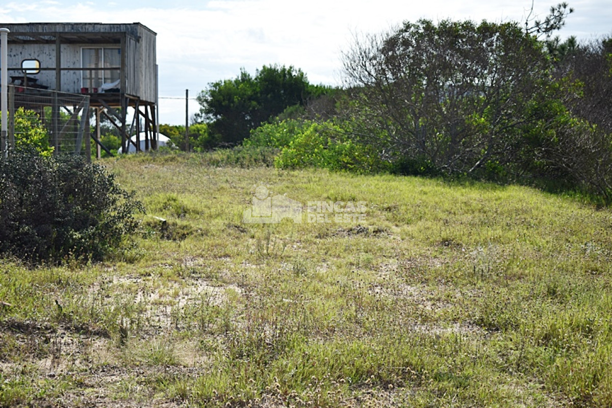 La Juanita - GoPunta - Portal Inmobiliario de Punta del Este - Maldonado