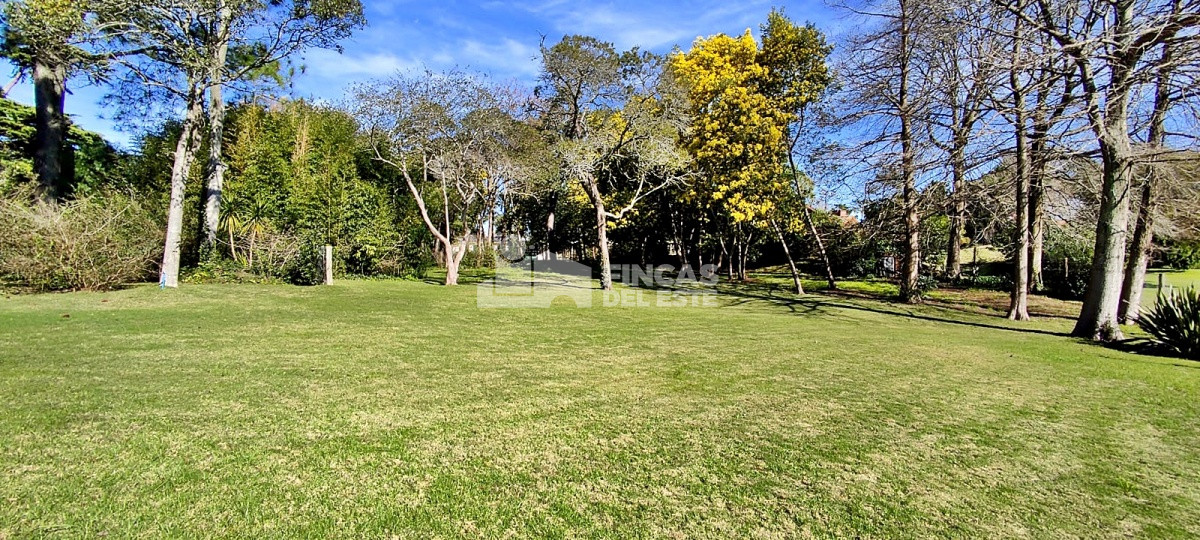 Golf - GoPunta - Portal Inmobiliario de Punta del Este - Maldonado