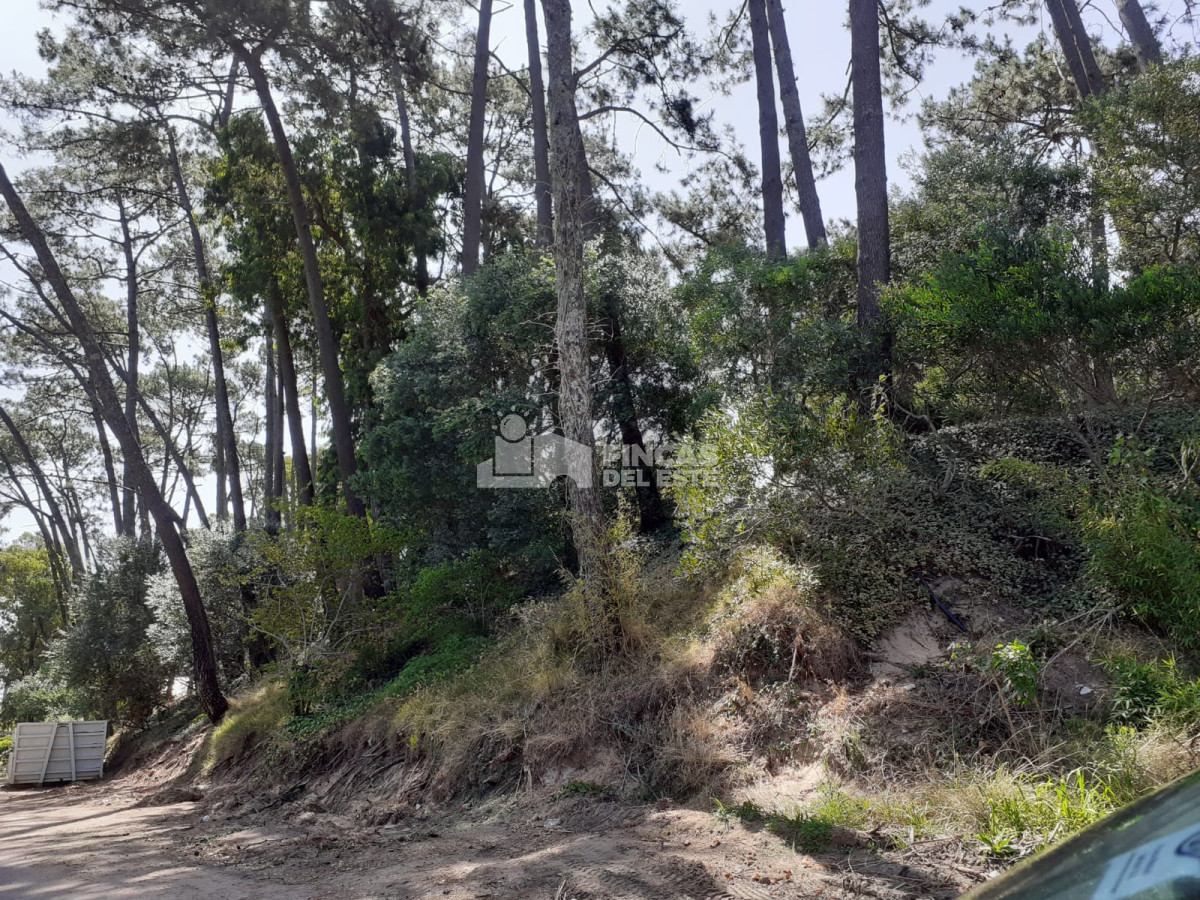 Nuevo Cantegril - GoPunta - Portal Inmobiliario de Punta del Este - Maldonado
