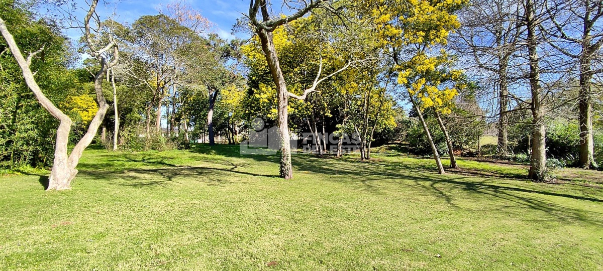 Golf - GoPunta - Portal Inmobiliario de Punta del Este - Maldonado