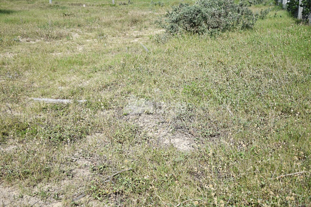 La Juanita - GoPunta - Portal Inmobiliario de Punta del Este - Maldonado