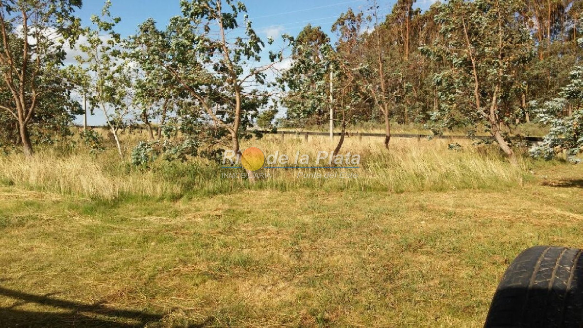 Garzon - GoPunta - Portal Inmobiliario de Punta del Este - Maldonado