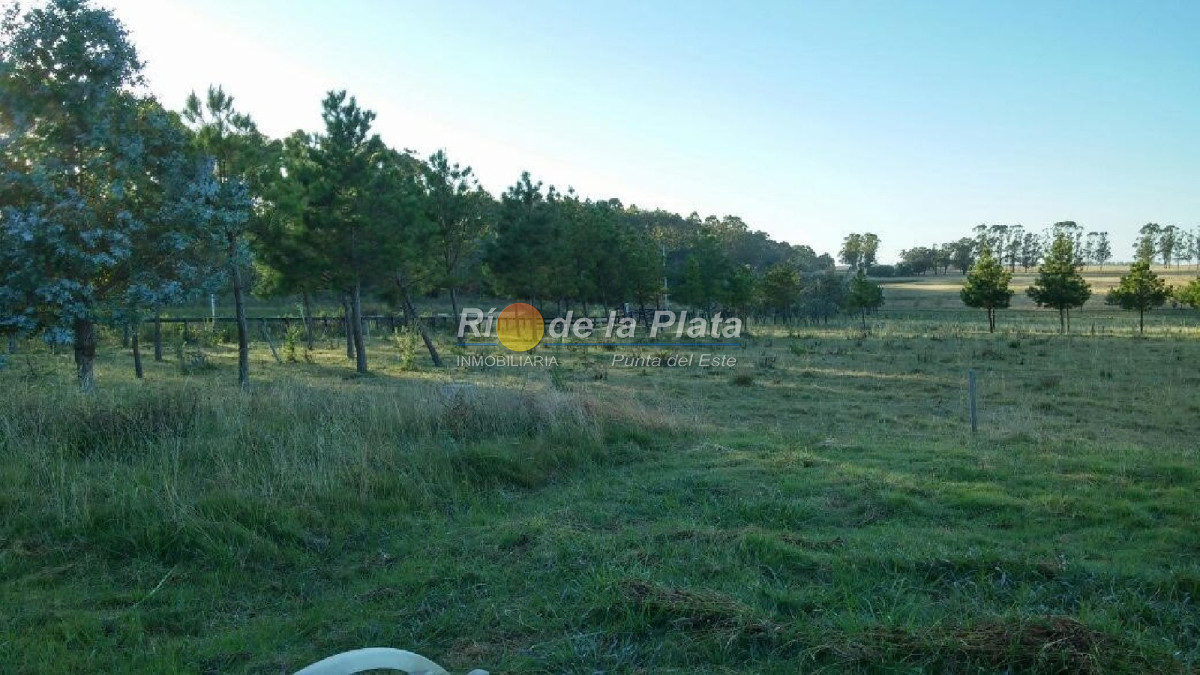 Garzon - GoPunta - Portal Inmobiliario de Punta del Este - Maldonado