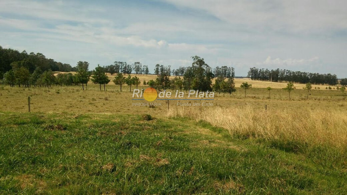 Garzon - GoPunta - Portal Inmobiliario de Punta del Este - Maldonado