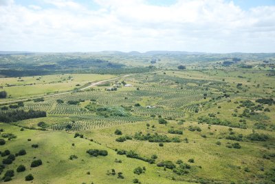 Chacra de 67 Has en Paraje las Cañas