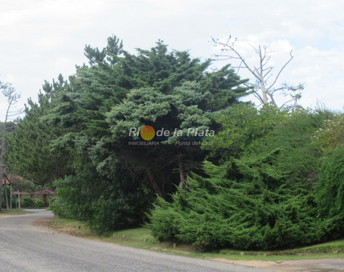 Rincón del Indio - GoPunta - Portal Inmobiliario de Punta del Este - Maldonado