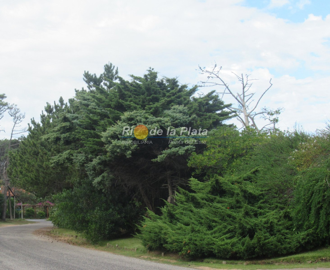 Rincón del Indio - GoPunta - Portal Inmobiliario de Punta del Este - Maldonado