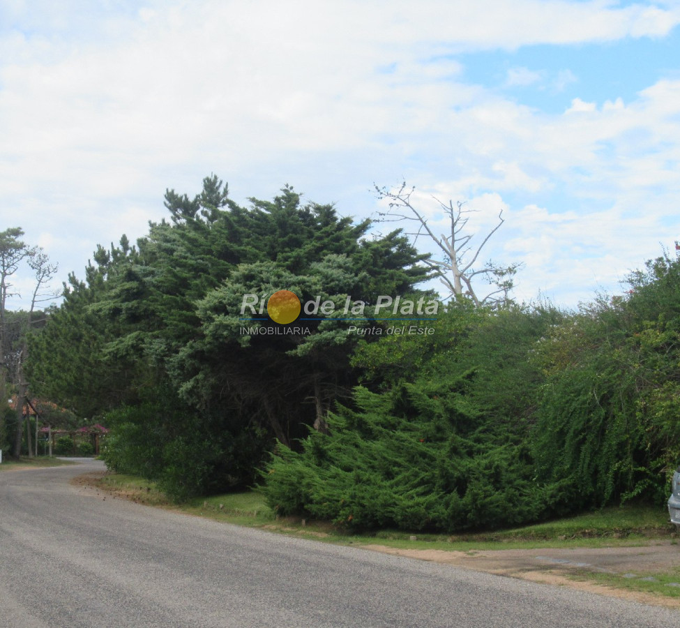 Rincón del Indio - GoPunta - Portal Inmobiliario de Punta del Este - Maldonado