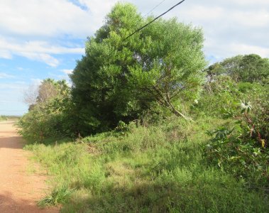 Terreno apto para construcción en propiedad horizontal