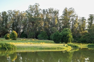 Golf, a solo 1000m del mar. Parada 22 de la Brava.