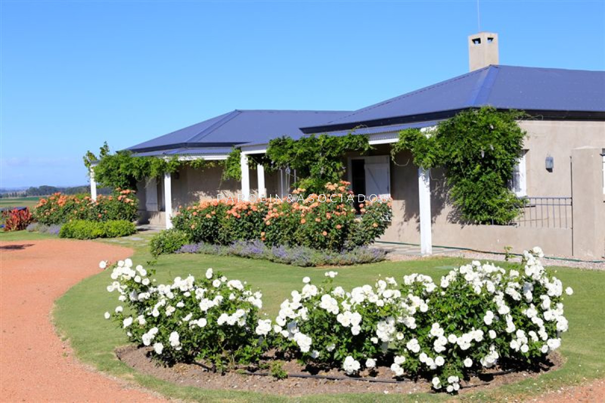 Ruta 104 - GoPunta - Portal Inmobiliario de Punta del Este - Maldonado