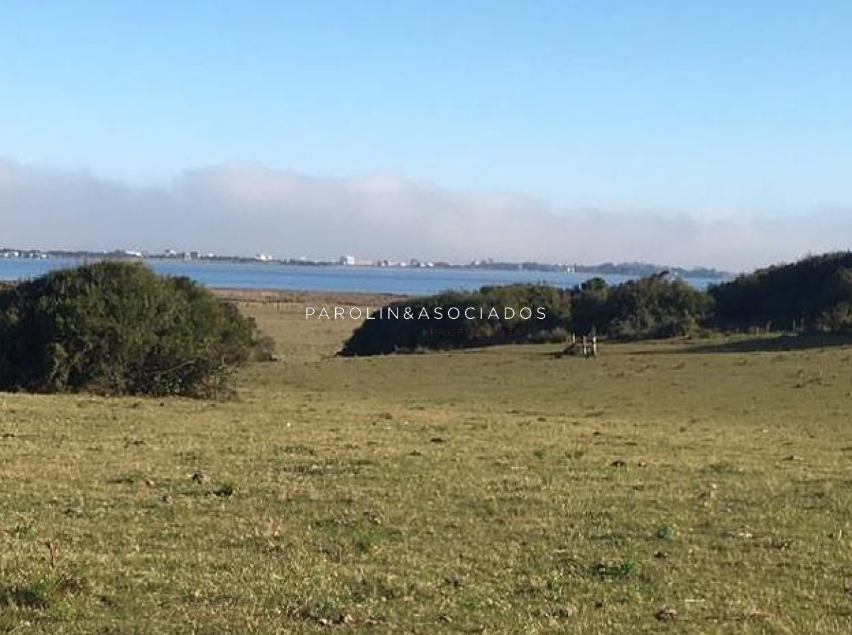 Medellin - GoPunta - Portal Inmobiliario de Punta del Este - Maldonado