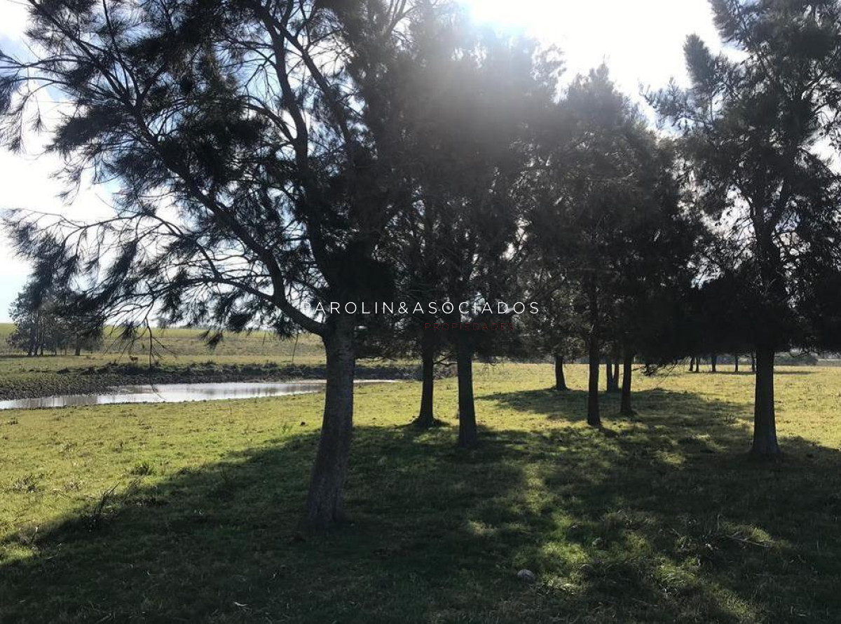 Maldonado - GoPunta - Portal Inmobiliario de Punta del Este - Maldonado