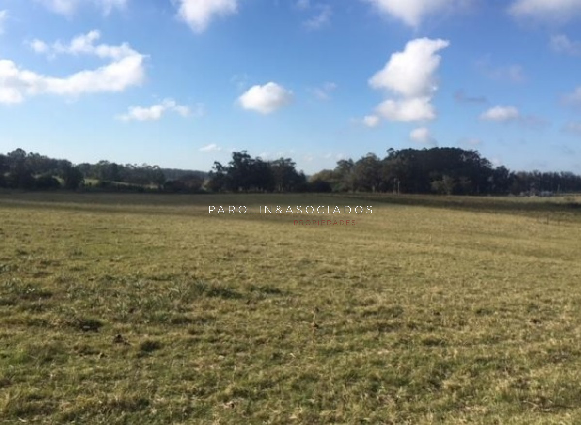 Medellin - GoPunta - Portal Inmobiliario de Punta del Este - Maldonado