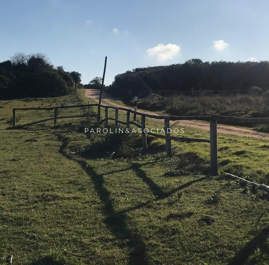 Medellin - GoPunta - Portal Inmobiliario de Punta del Este - Maldonado