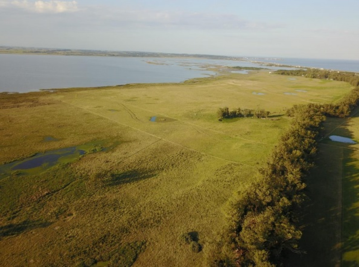 Chacra 5 Hectareas, José Ignacio, Punta del Este