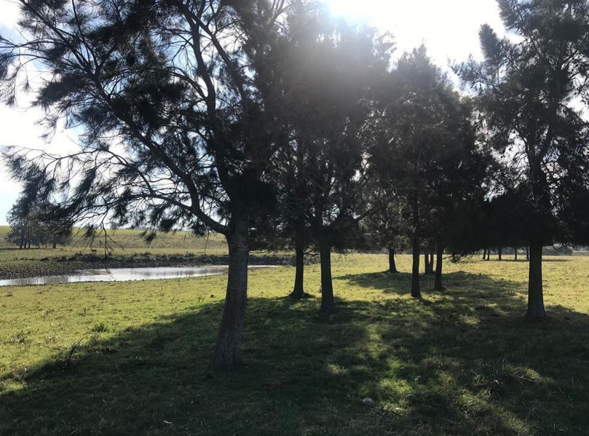 Chacra con Muy Linda Vista