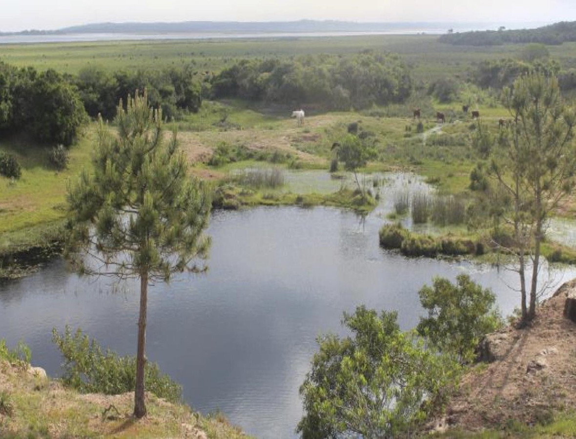 Hermosa chacra en venta en José Ignacio, Punta del Este.