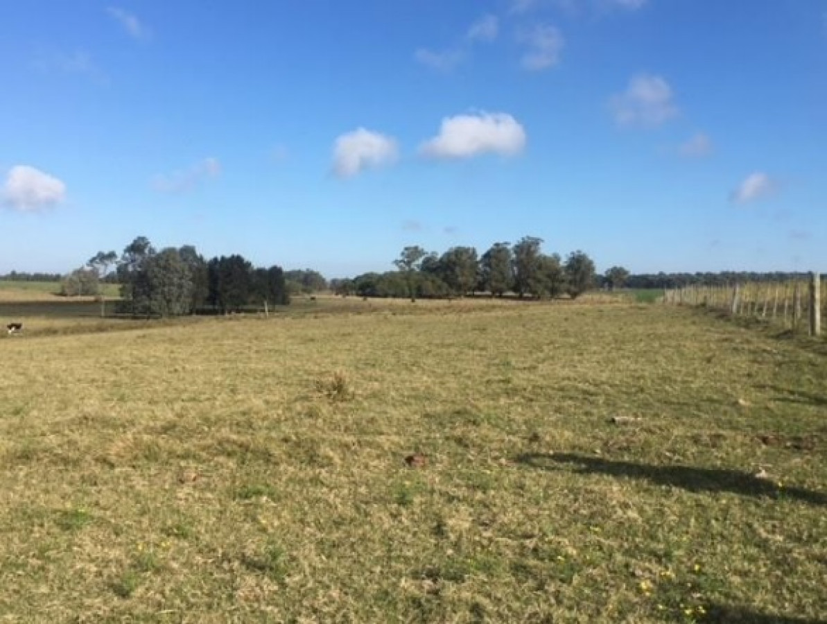 Chacra 5 Hectareas, José Ignacio, Punta del Este