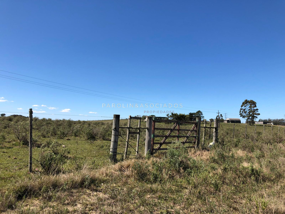 Campo en venta excelente lugar - GoPunta - Portal Inmobiliario de Punta del Este - Maldonado