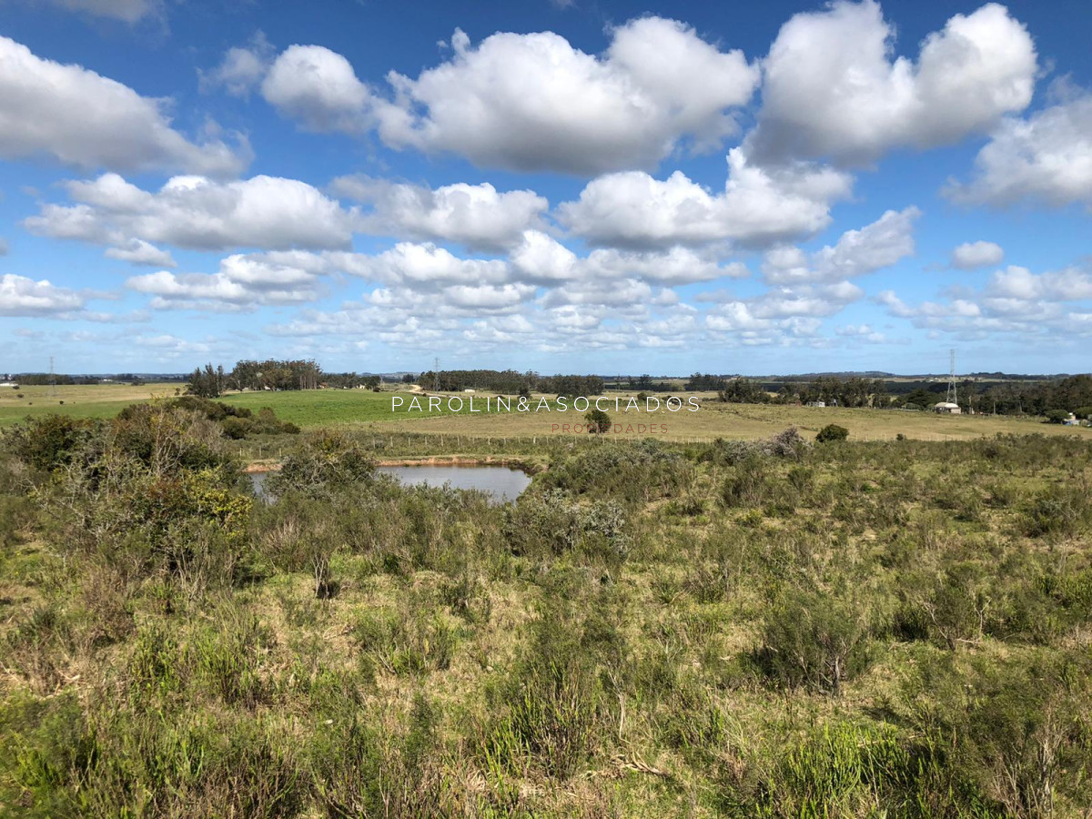 Campo en venta excelente lugar - GoPunta - Portal Inmobiliario de Punta del Este - Maldonado