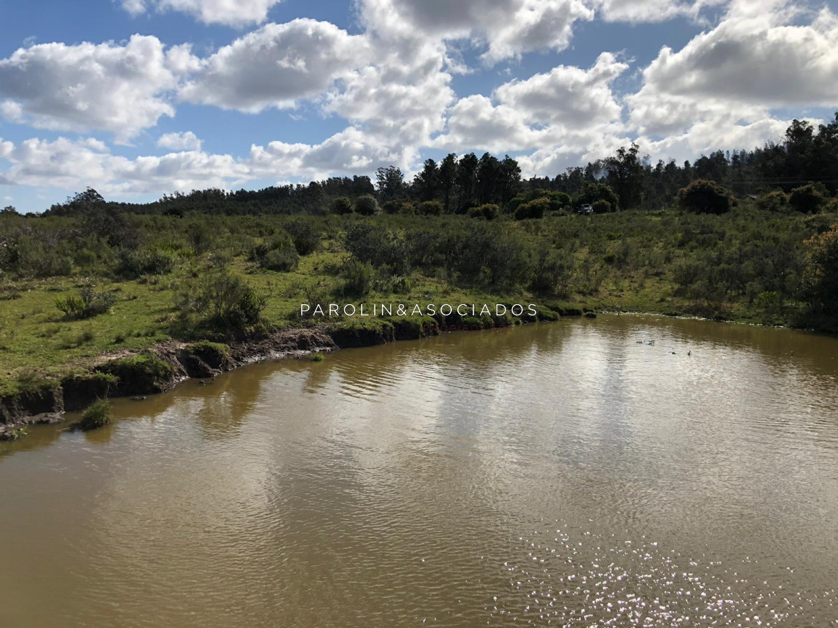 Campo en venta excelente lugar - GoPunta - Portal Inmobiliario de Punta del Este - Maldonado